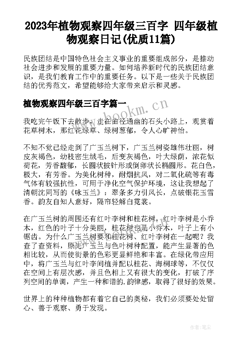 2023年植物观察四年级三百字 四年级植物观察日记(优质11篇)