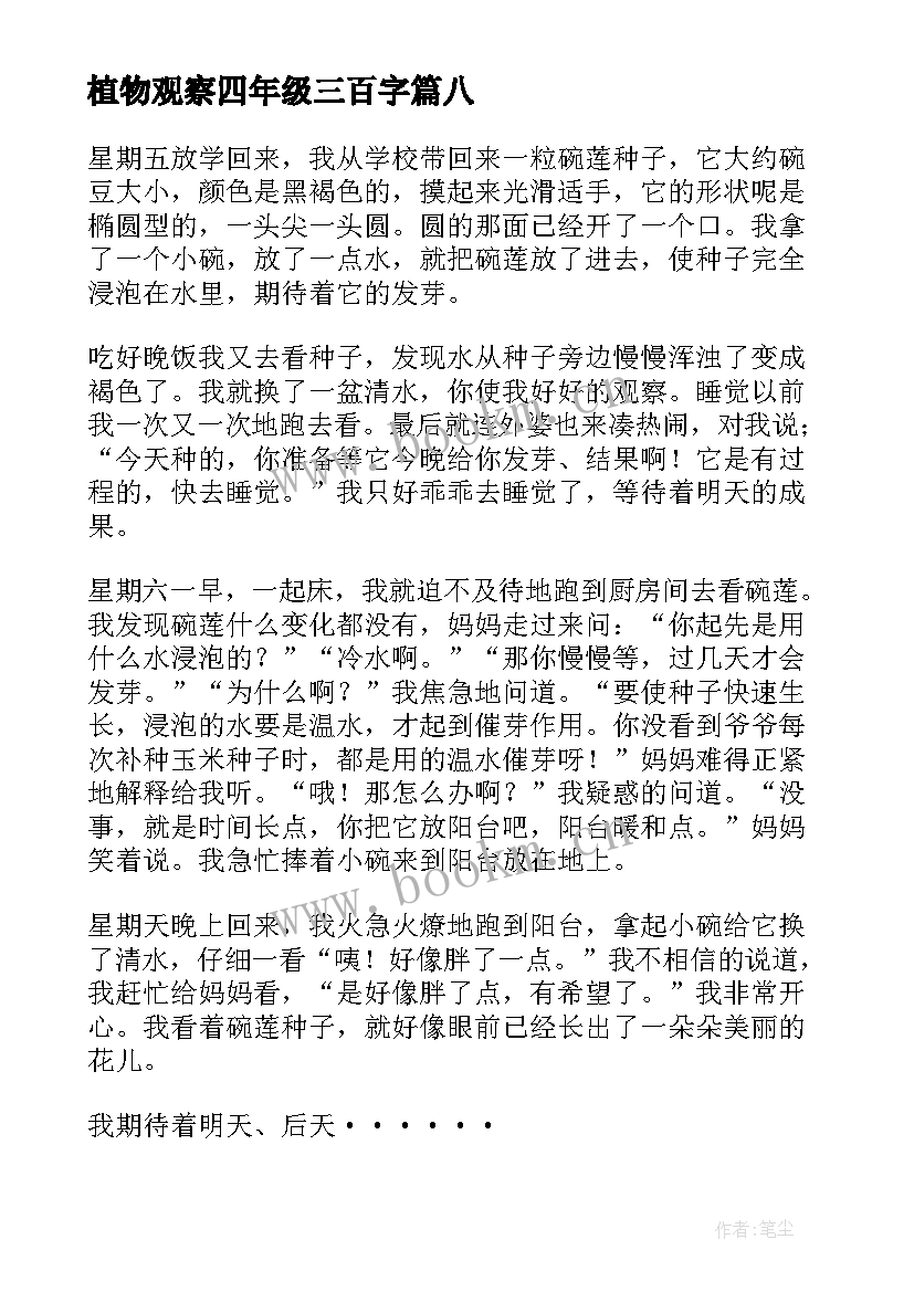 2023年植物观察四年级三百字 四年级植物观察日记(优质11篇)