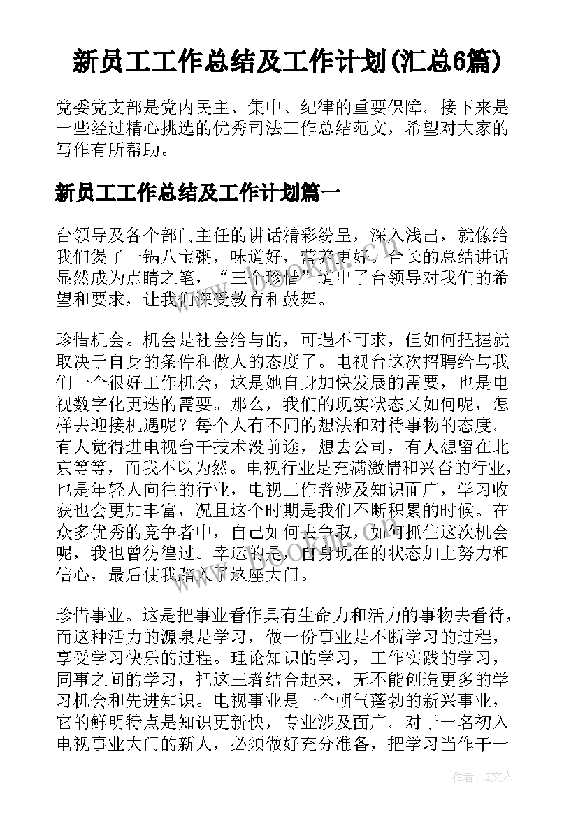 新员工工作总结及工作计划(汇总6篇)