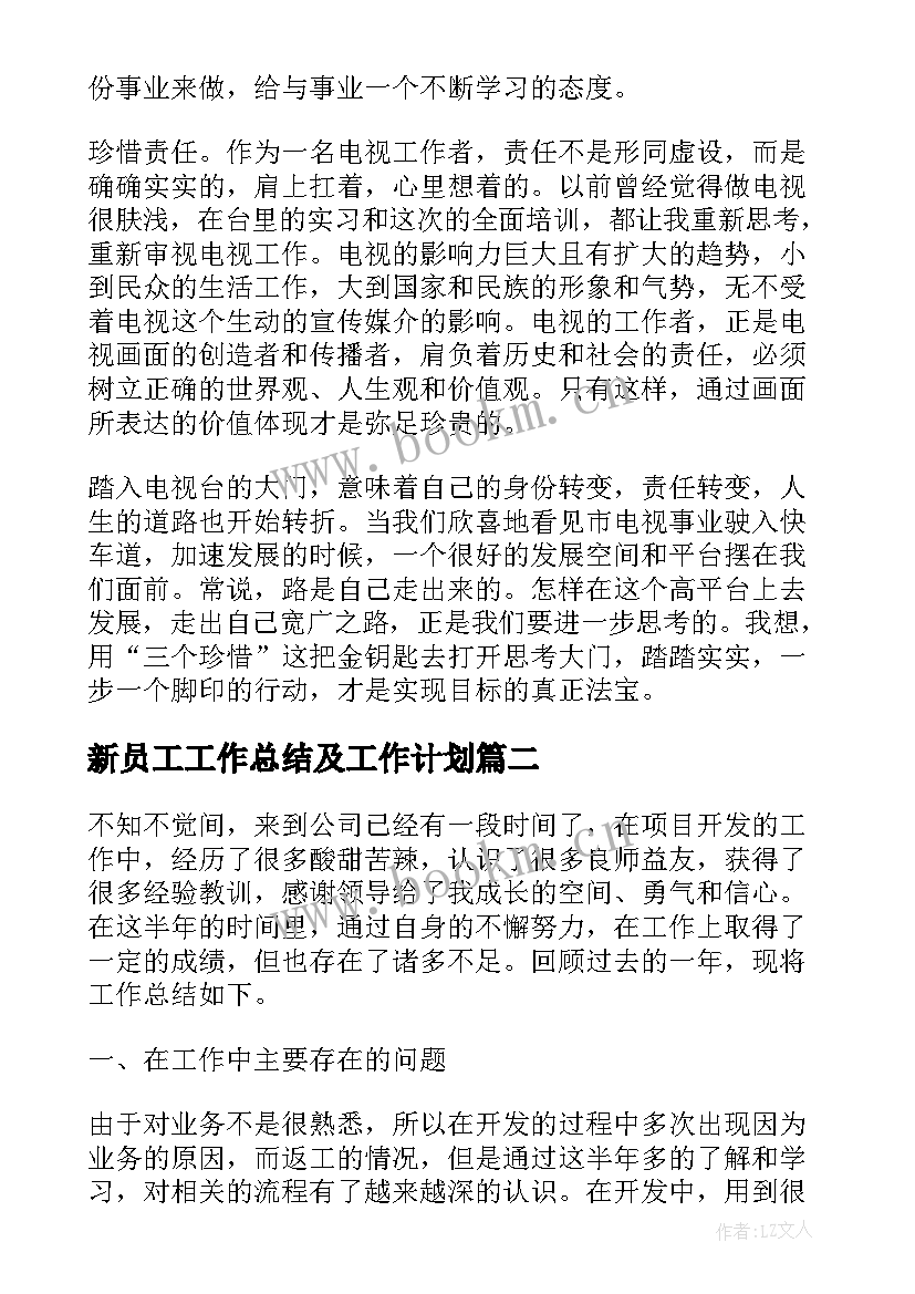 新员工工作总结及工作计划(汇总6篇)