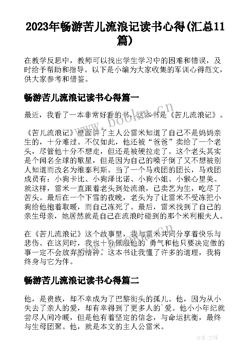 2023年畅游苦儿流浪记读书心得(汇总11篇)