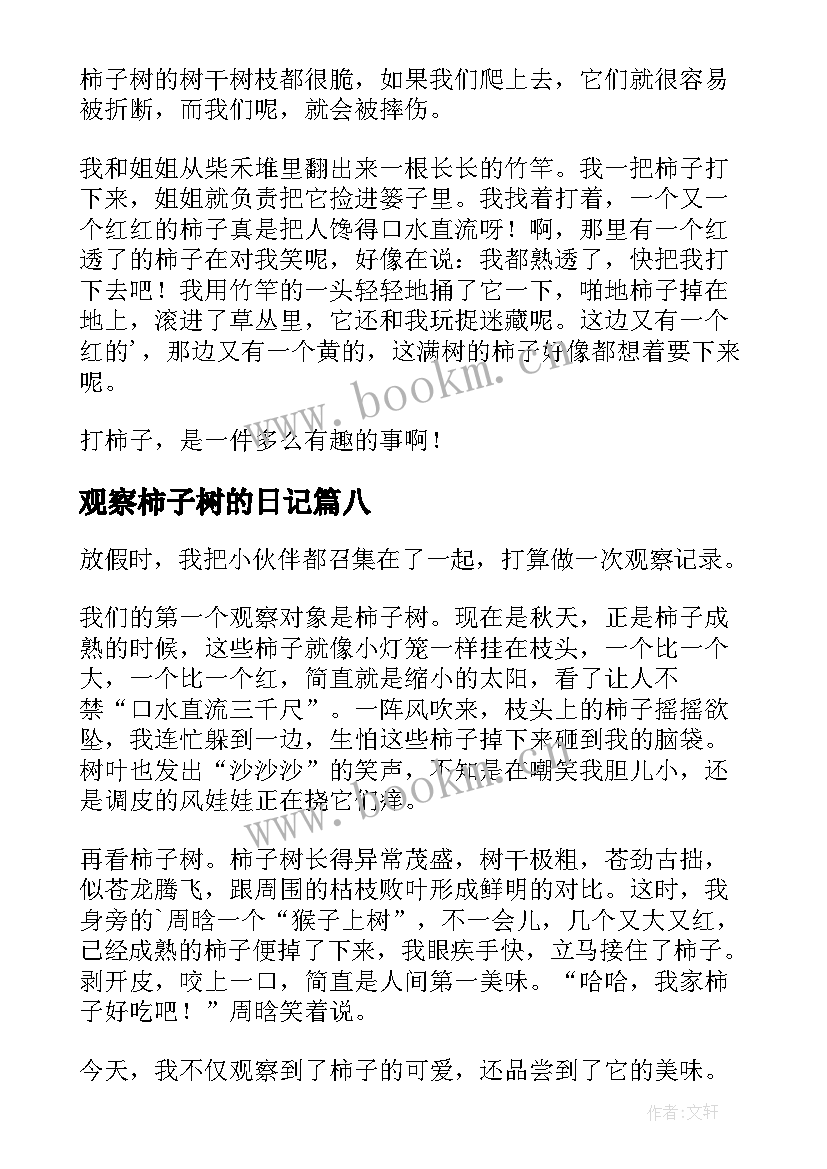 最新观察柿子树的日记(精选8篇)