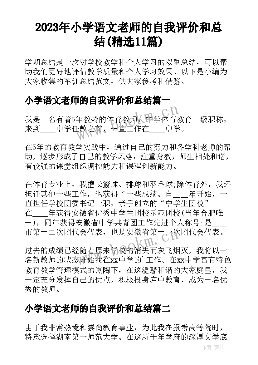 2023年小学语文老师的自我评价和总结(精选11篇)