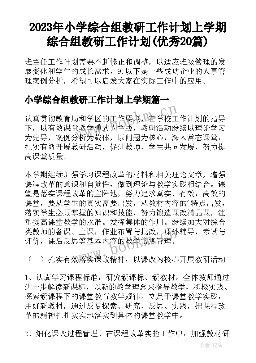 2023年小学综合组教研工作计划上学期 综合组教研工作计划(优秀20篇)