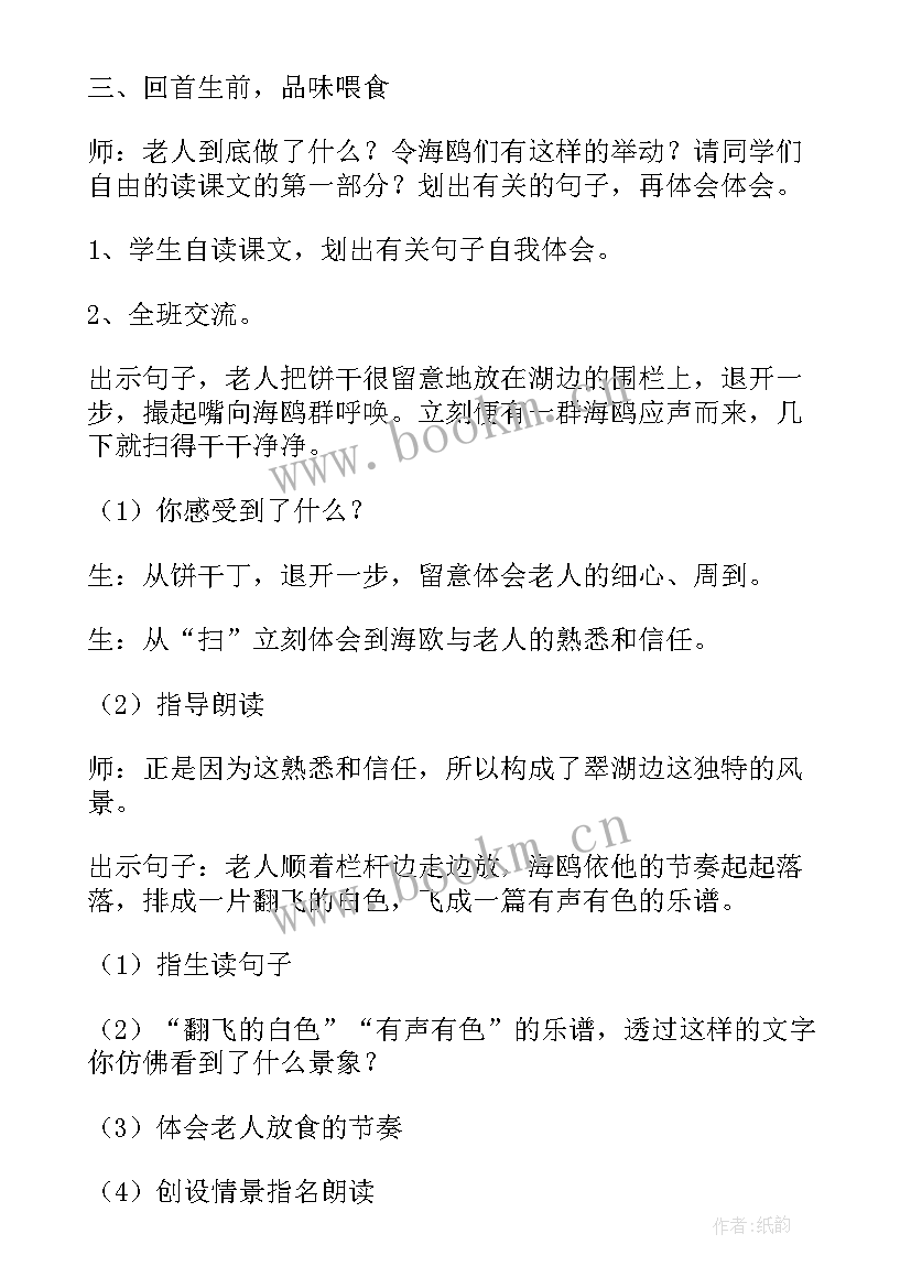 最新老人与海感受 老人与海教案(精选9篇)