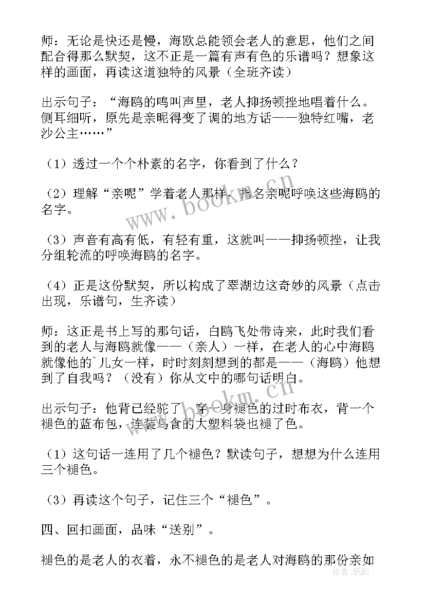 最新老人与海感受 老人与海教案(精选9篇)