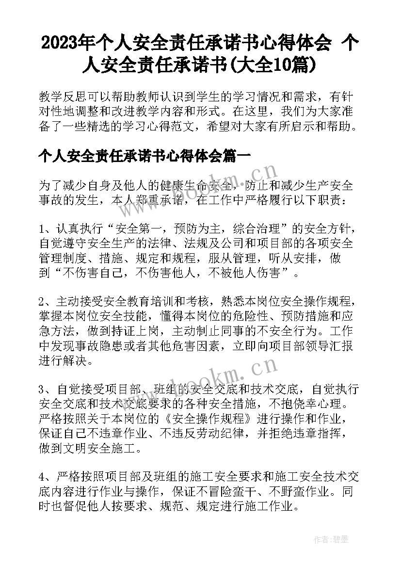 2023年个人安全责任承诺书心得体会 个人安全责任承诺书(大全10篇)