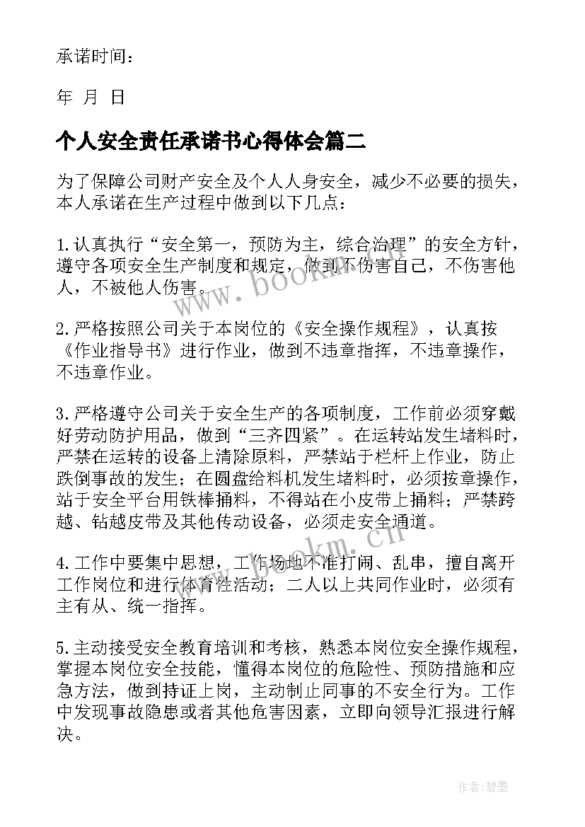 2023年个人安全责任承诺书心得体会 个人安全责任承诺书(大全10篇)