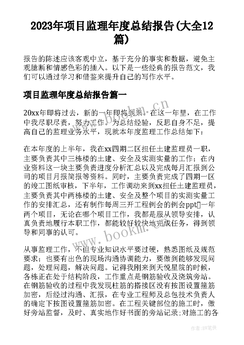 2023年项目监理年度总结报告(大全12篇)