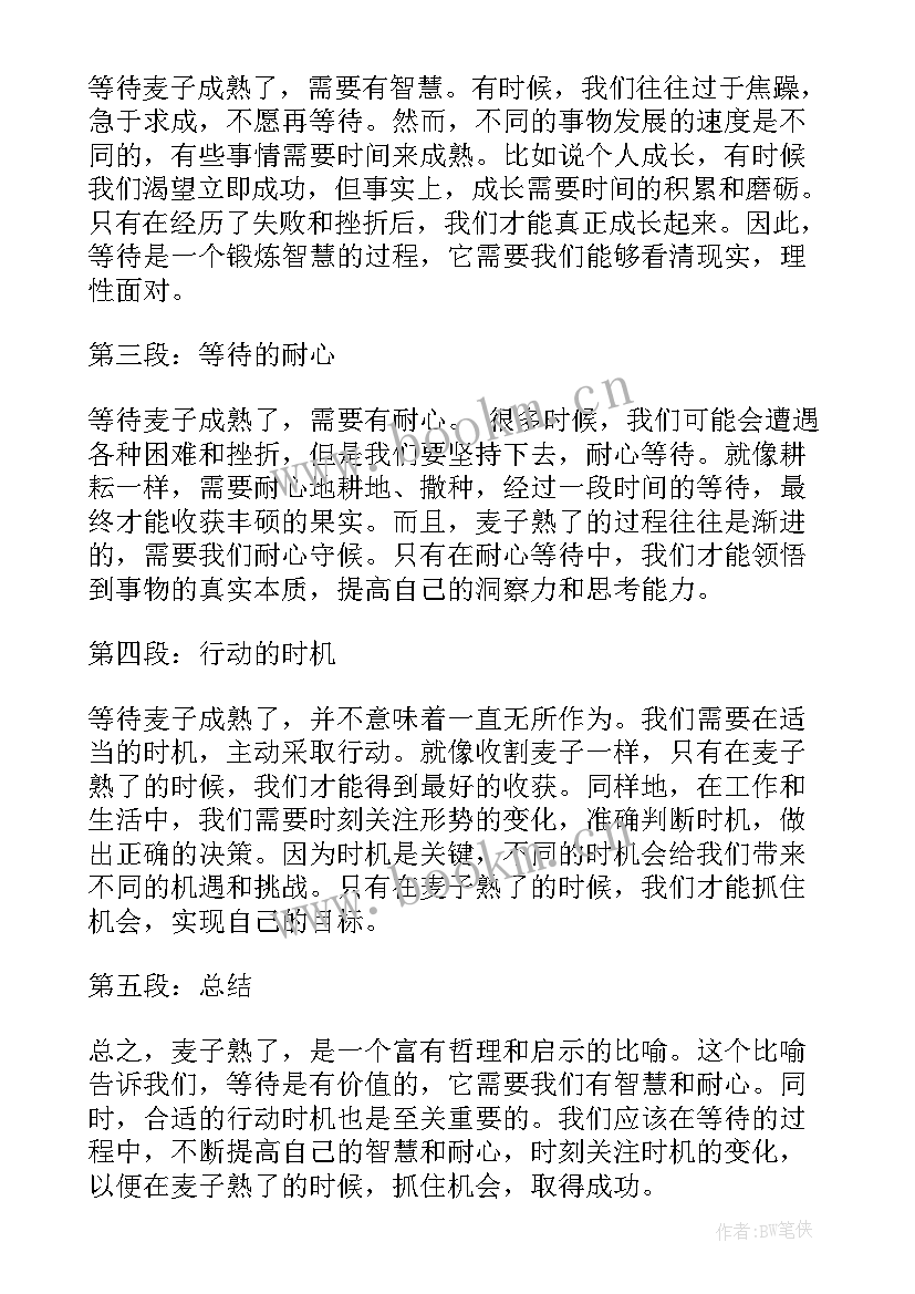 2023年麦子熟了三年级 麦子熟了心得体会(实用8篇)