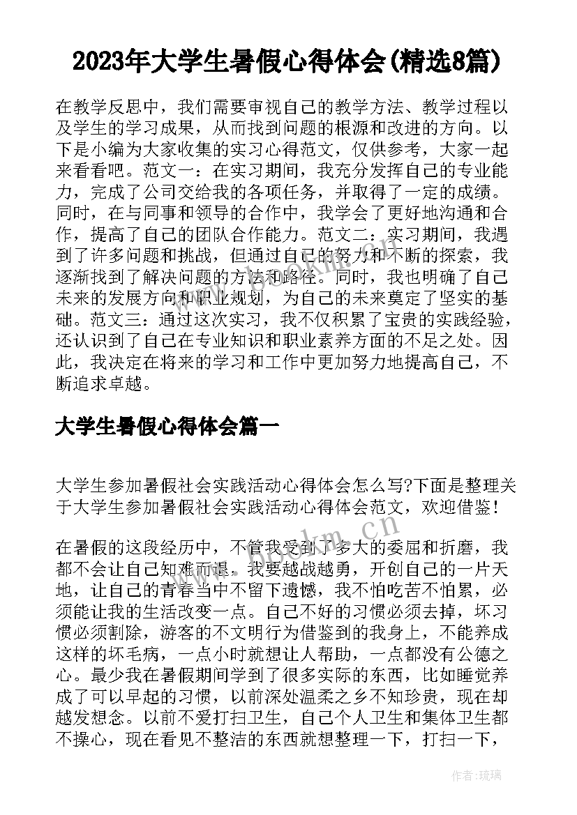 2023年大学生暑假心得体会(精选8篇)