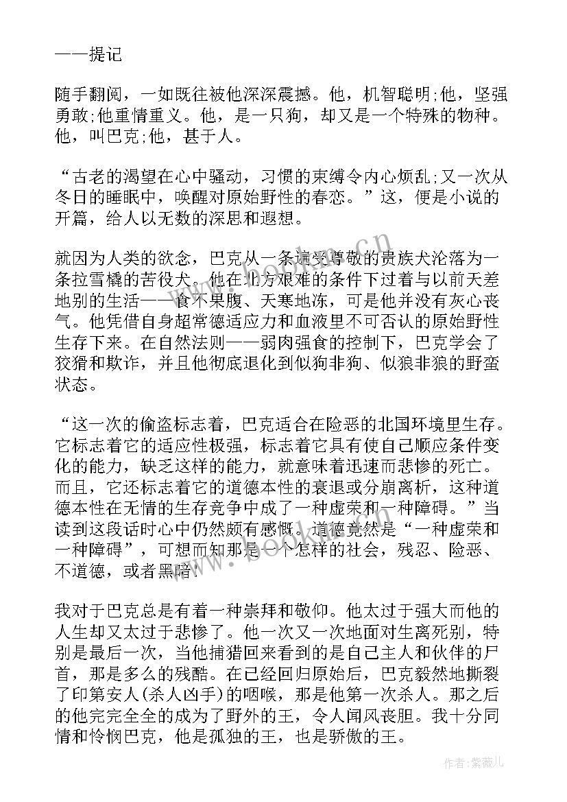 2023年野性的呼唤阅读感悟与心得(大全8篇)