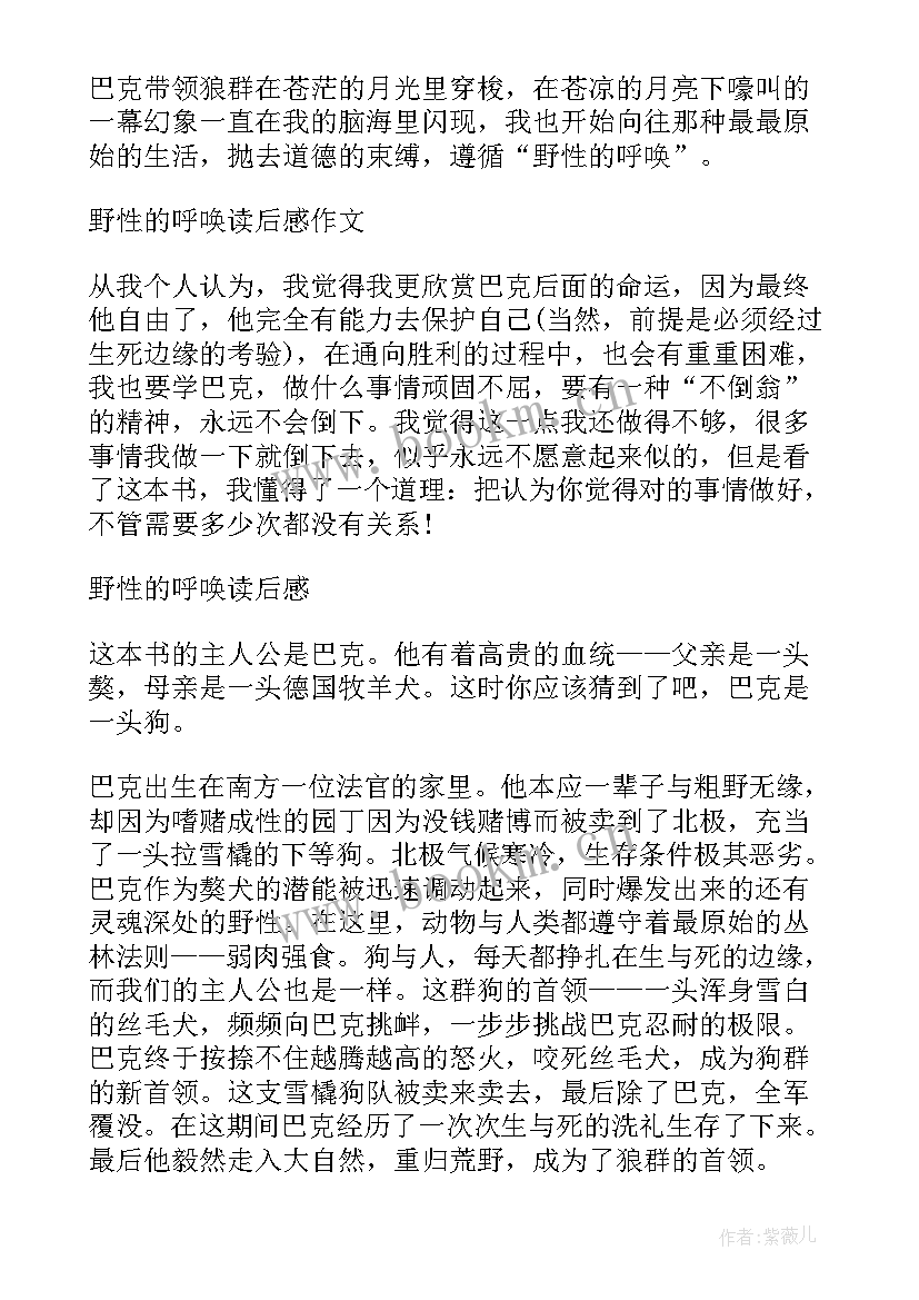 2023年野性的呼唤阅读感悟与心得(大全8篇)