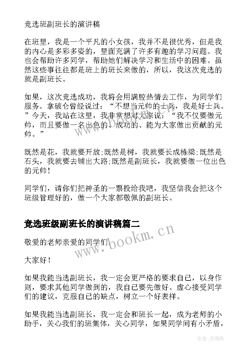 最新竞选班级副班长的演讲稿(实用12篇)