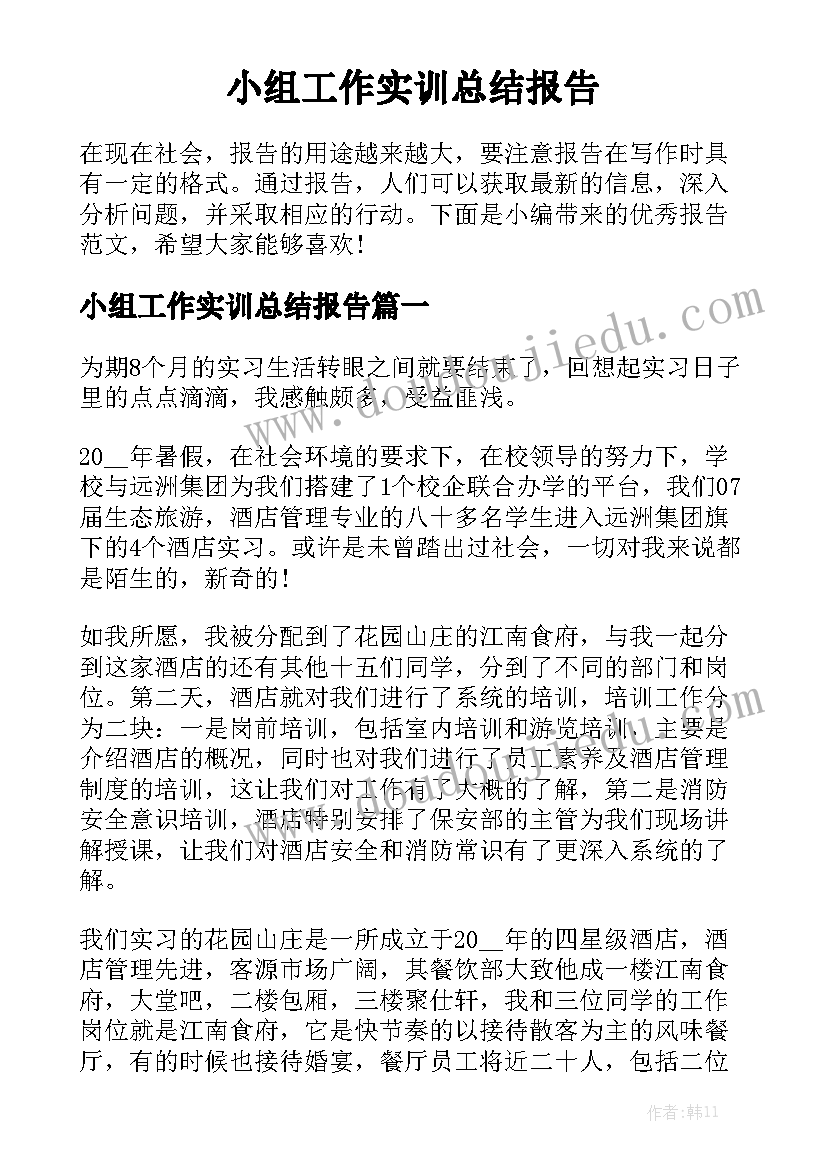 小组工作实训总结报告