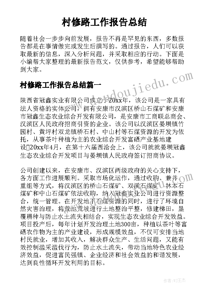 村修路工作报告总结