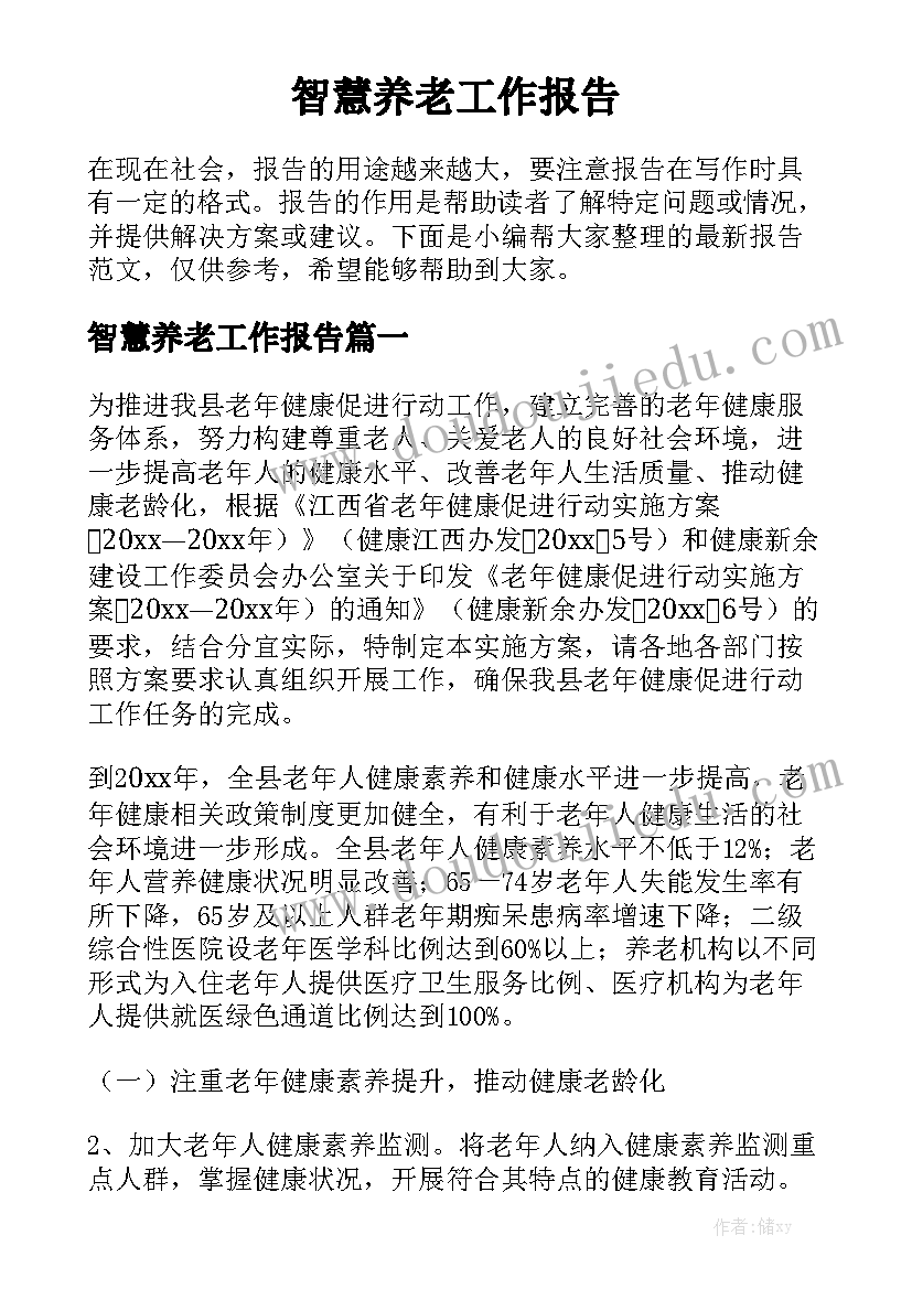 智慧养老工作报告