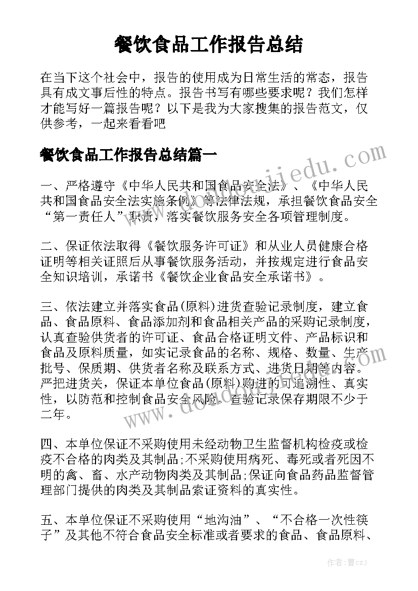 餐饮食品工作报告总结