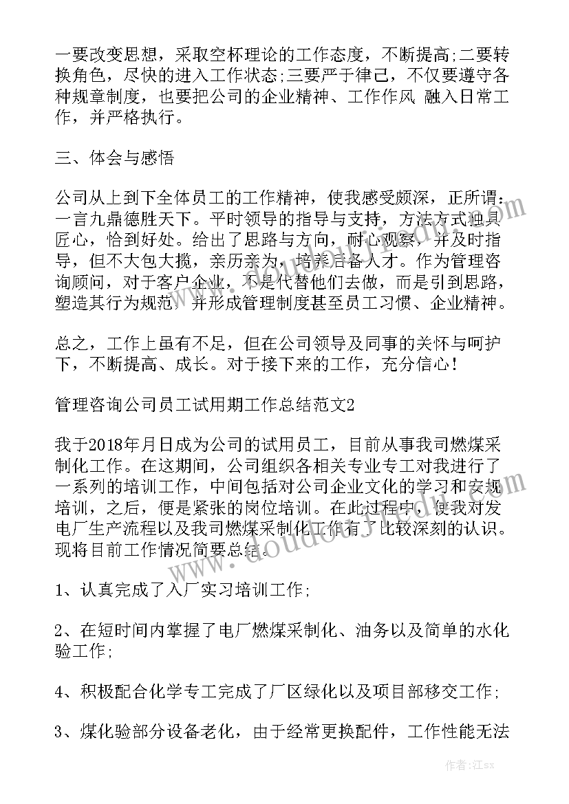 咨询公司工作总结