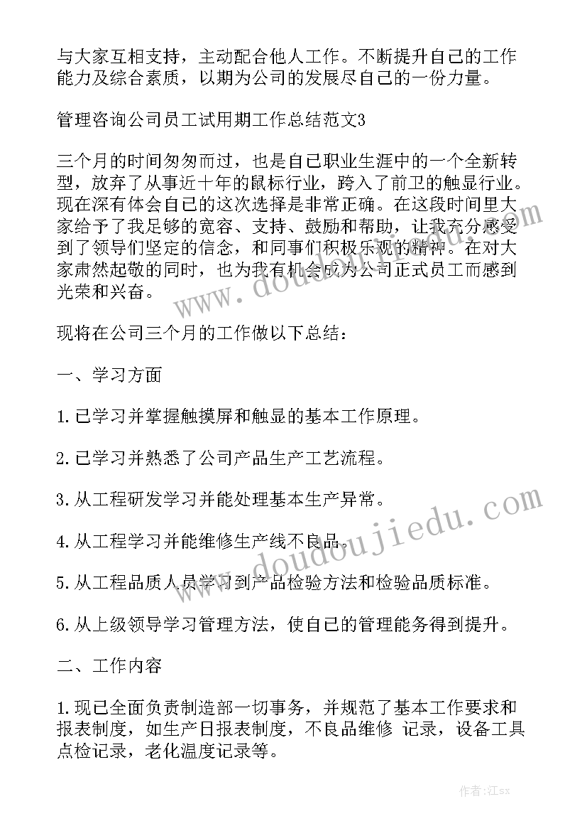 咨询公司工作总结