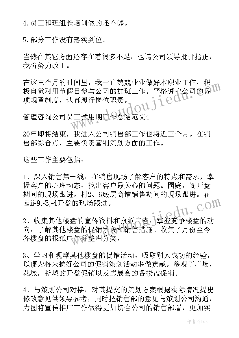 咨询公司工作总结