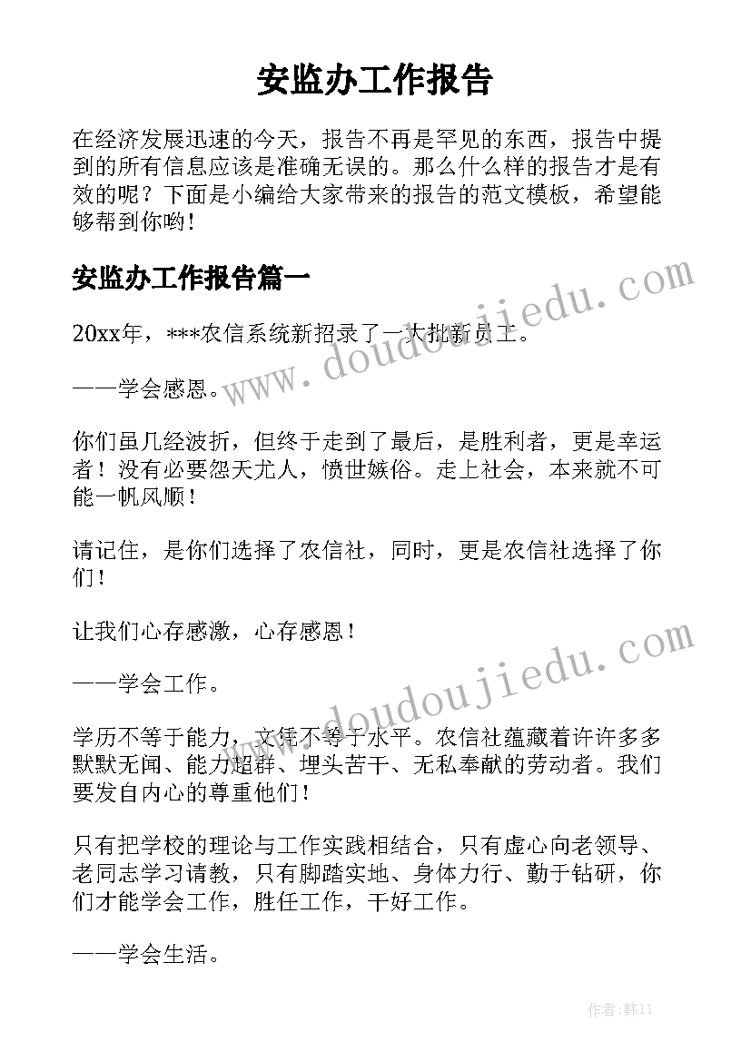 安监办工作报告