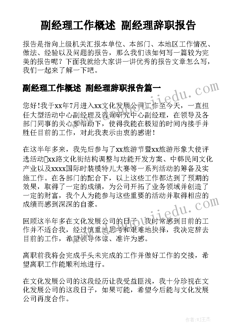 副经理工作概述 副经理辞职报告