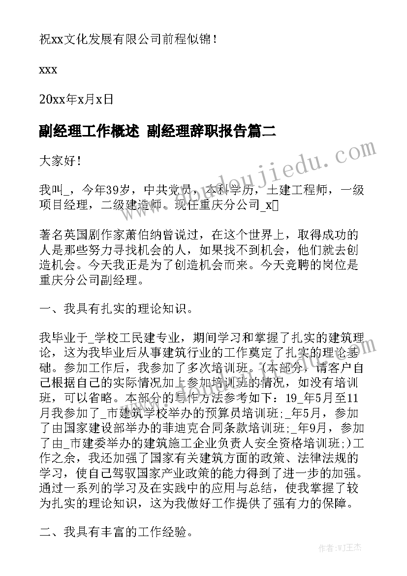 副经理工作概述 副经理辞职报告