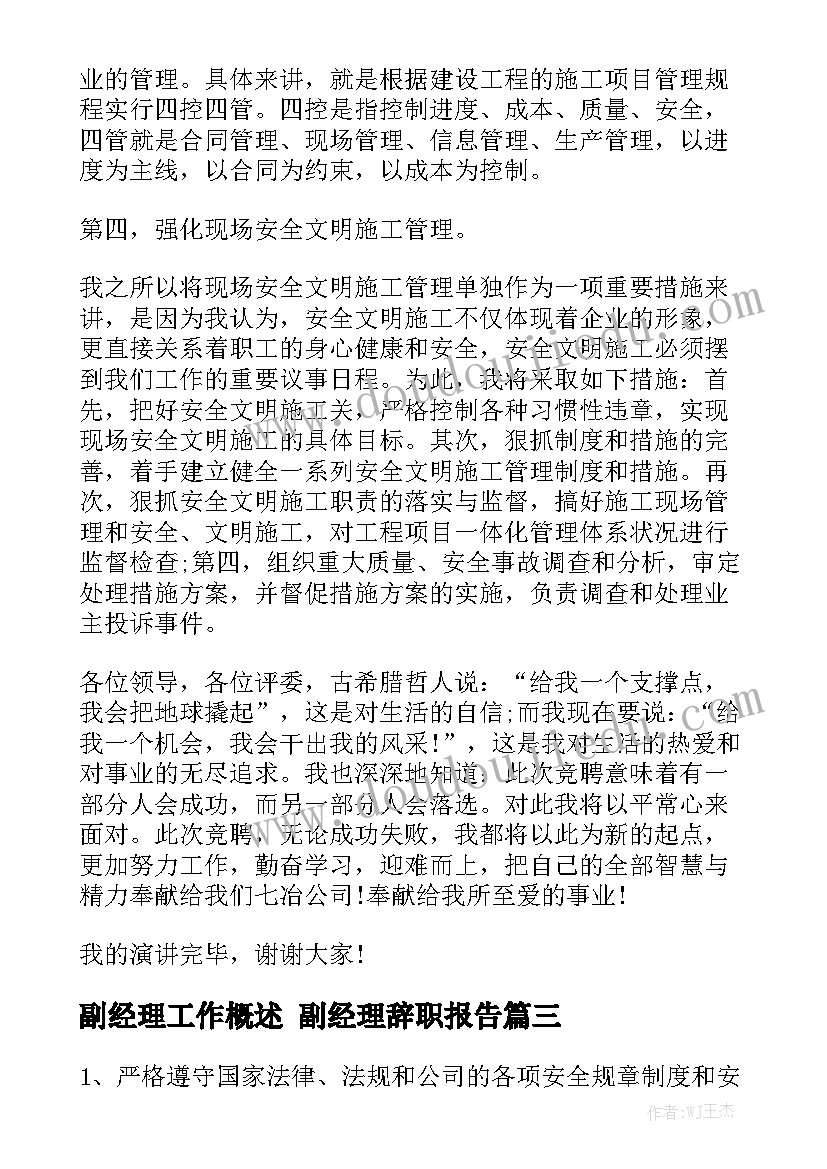 副经理工作概述 副经理辞职报告