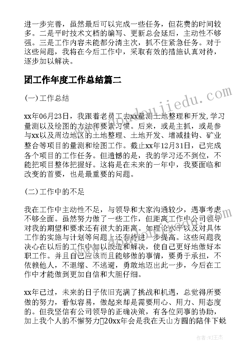 团工作年度工作总结