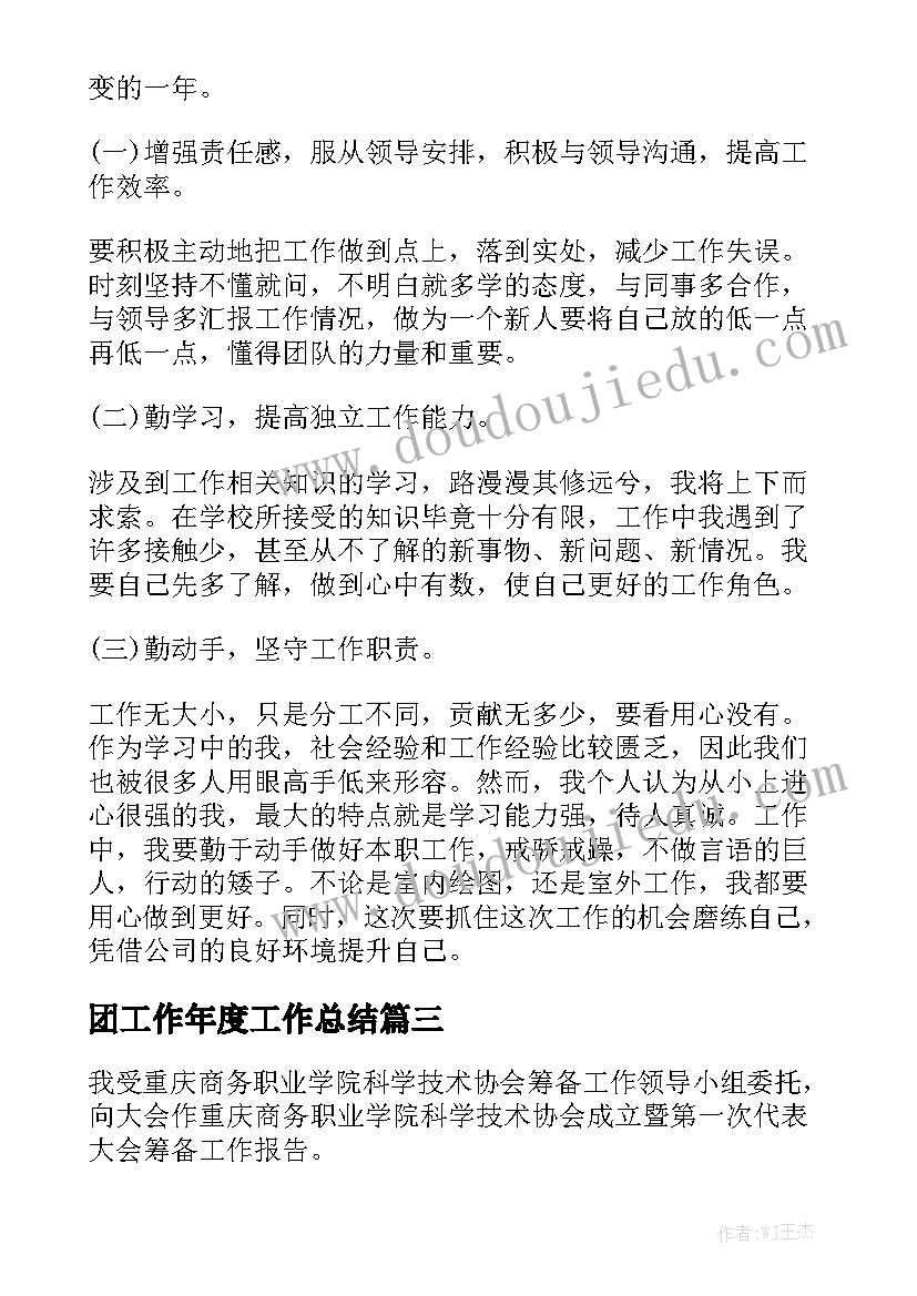 团工作年度工作总结