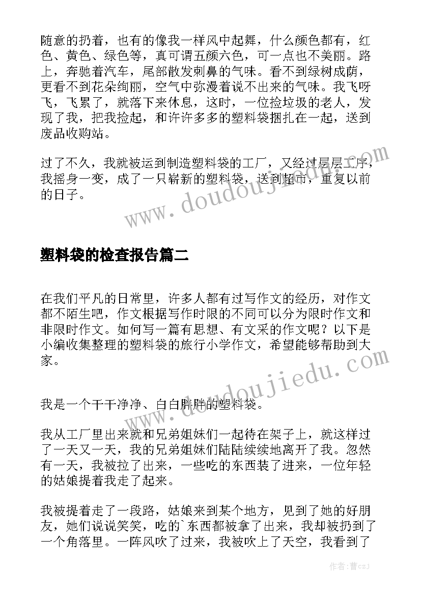 塑料袋的检查报告