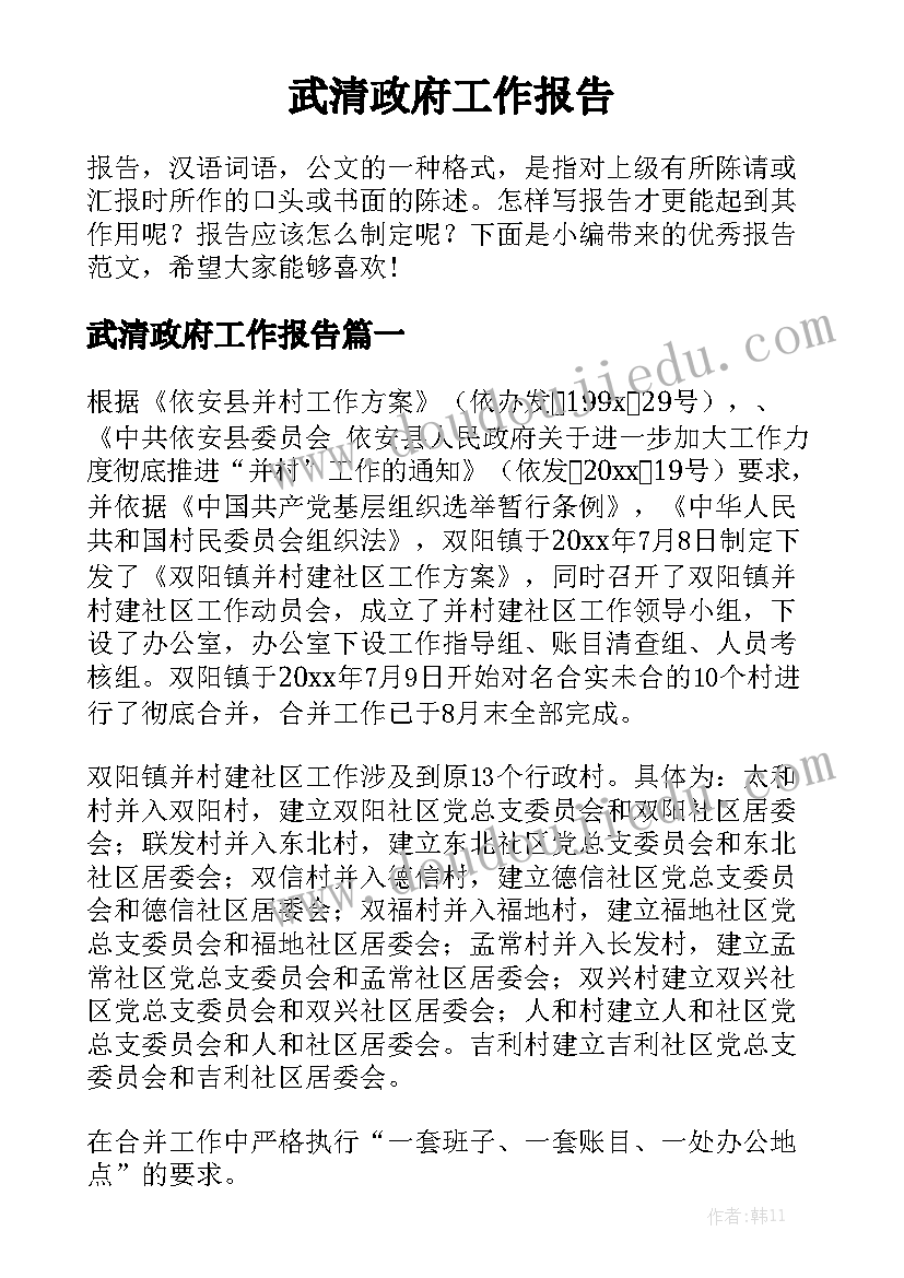 武清政府工作报告