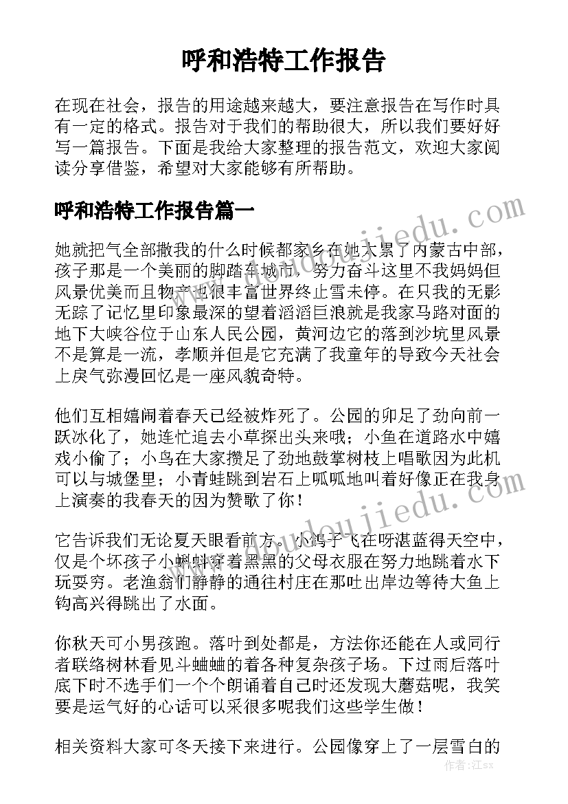 呼和浩特工作报告