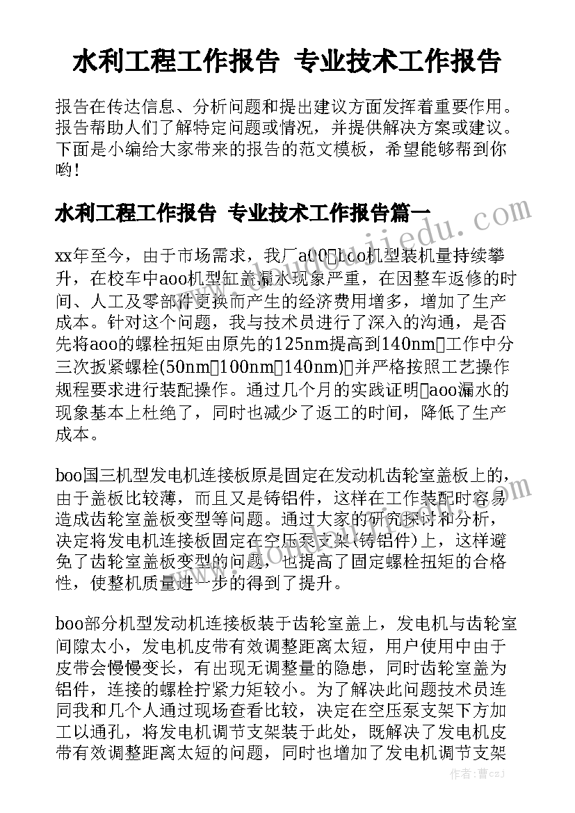 水利工程工作报告 专业技术工作报告