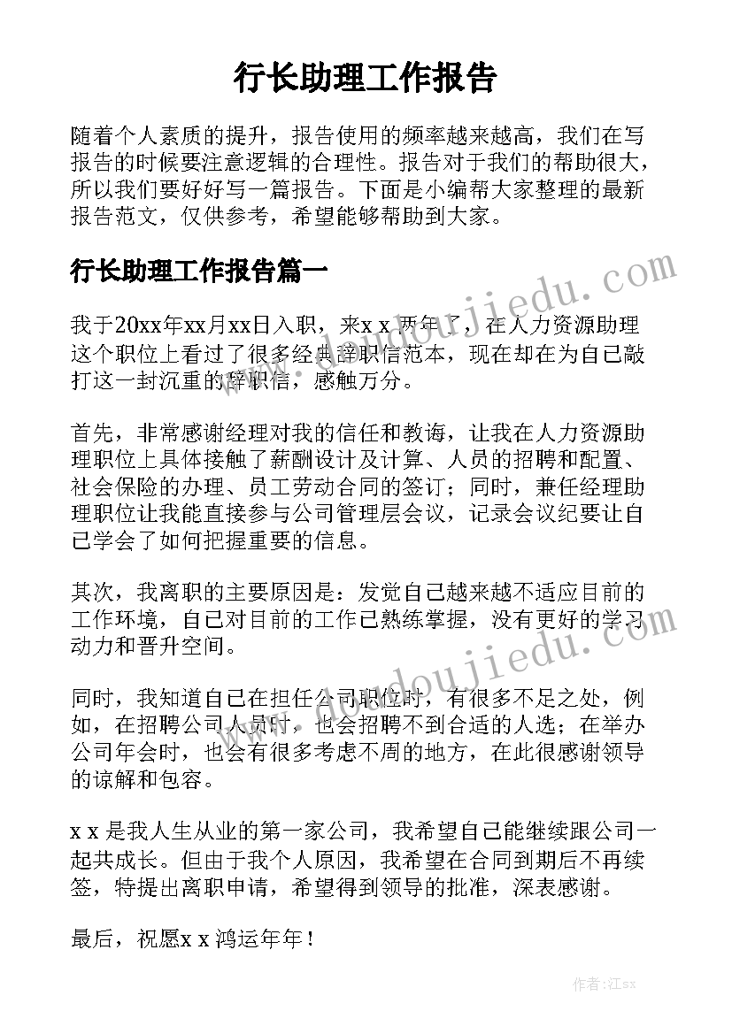 行长助理工作报告