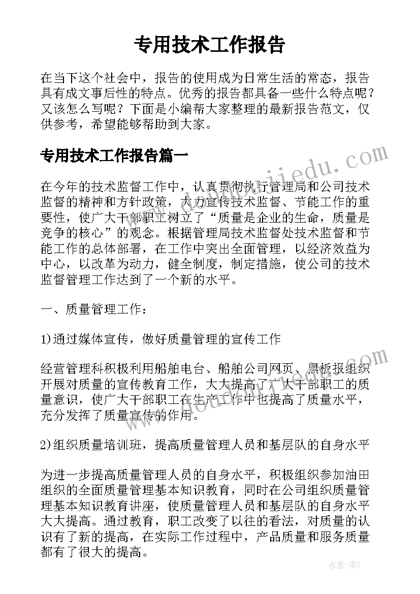 专用技术工作报告