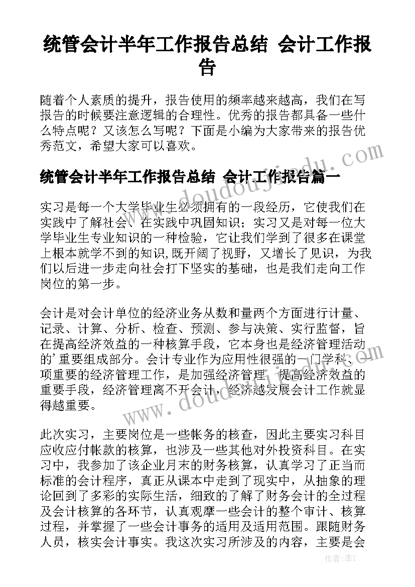 统管会计半年工作报告总结 会计工作报告