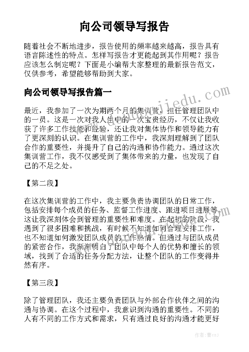 向公司领导写报告