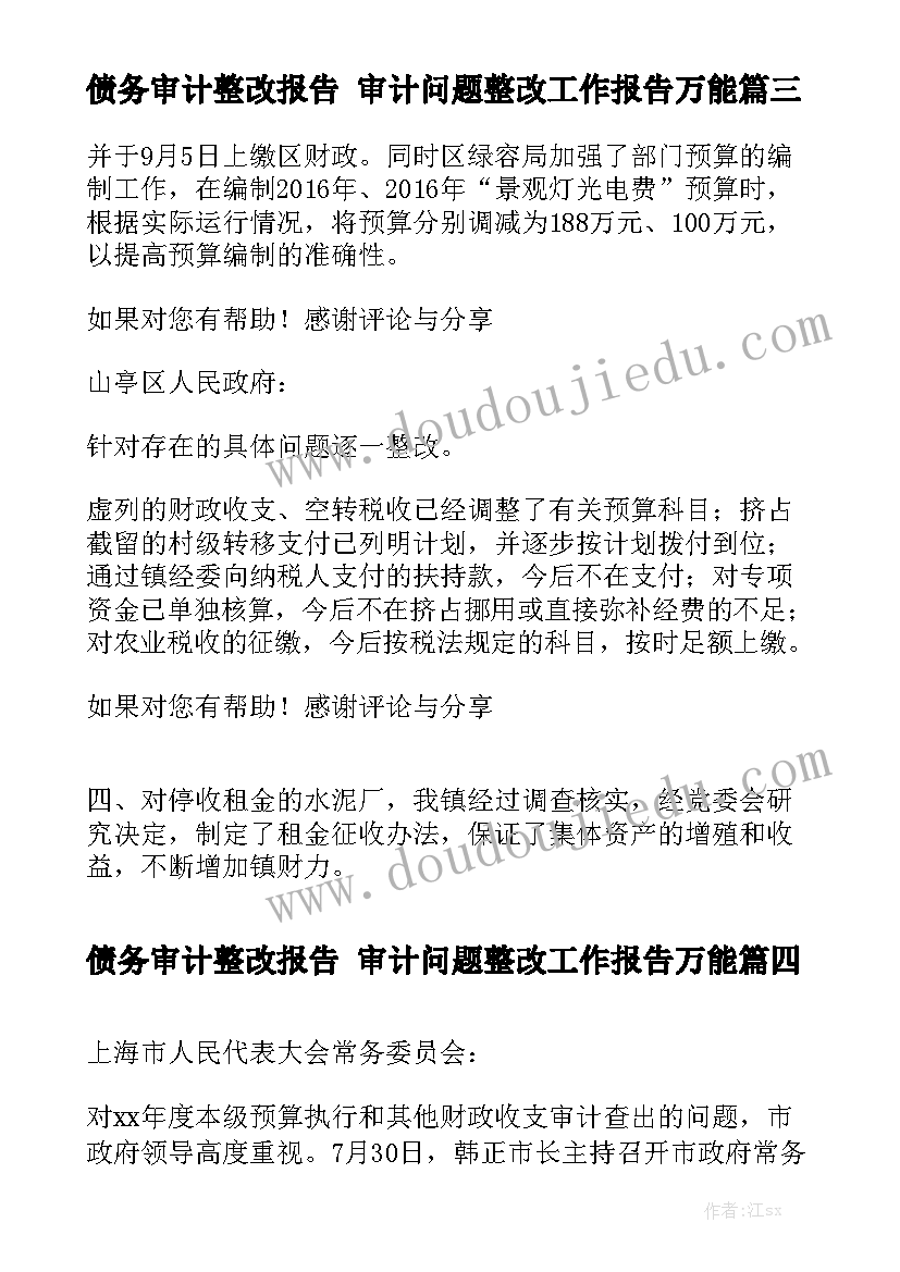 债务审计整改报告 审计问题整改工作报告万能