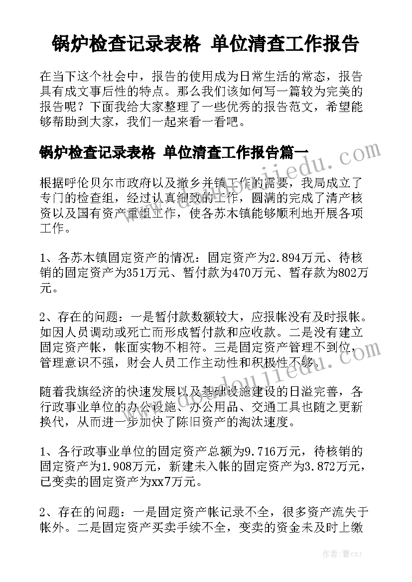 锅炉检查记录表格 单位清查工作报告