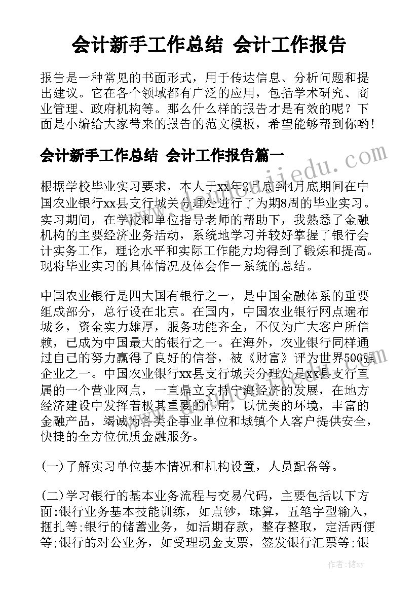 会计新手工作总结 会计工作报告