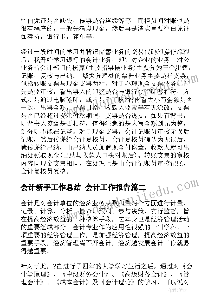 会计新手工作总结 会计工作报告