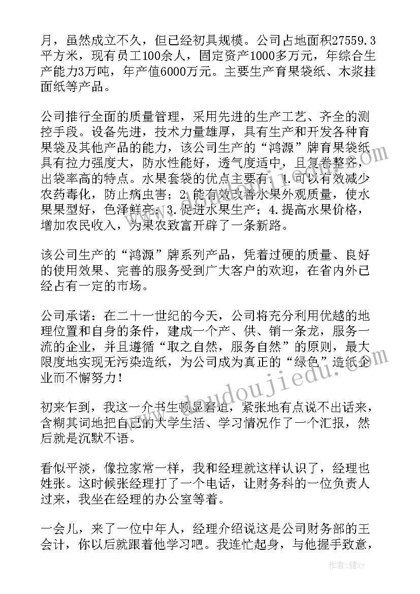 会计新手工作总结 会计工作报告