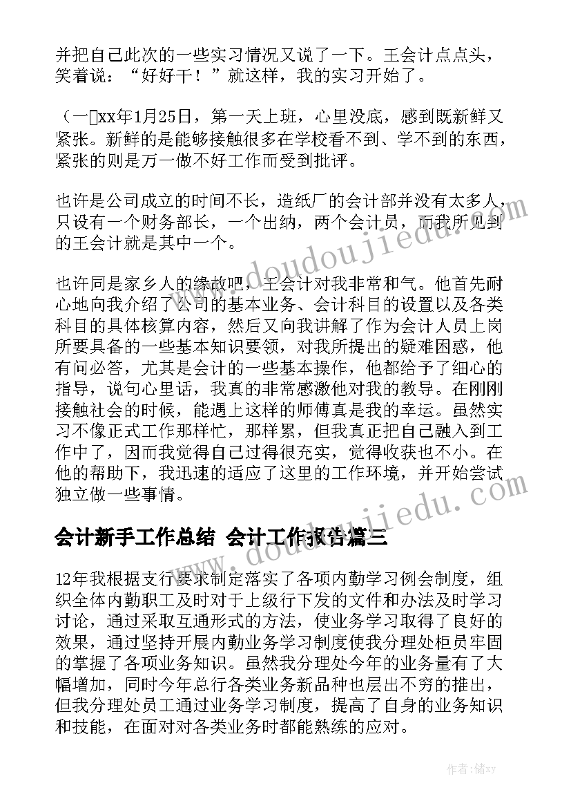 会计新手工作总结 会计工作报告