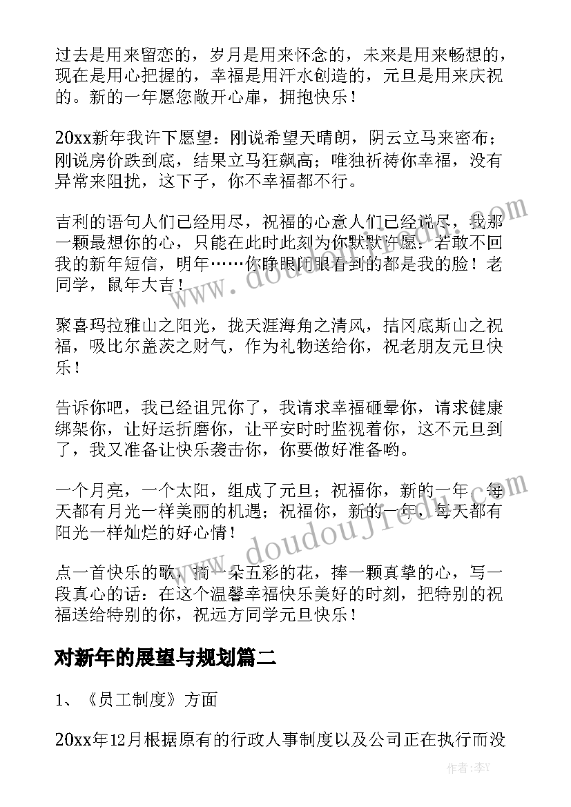 对新年的展望与规划