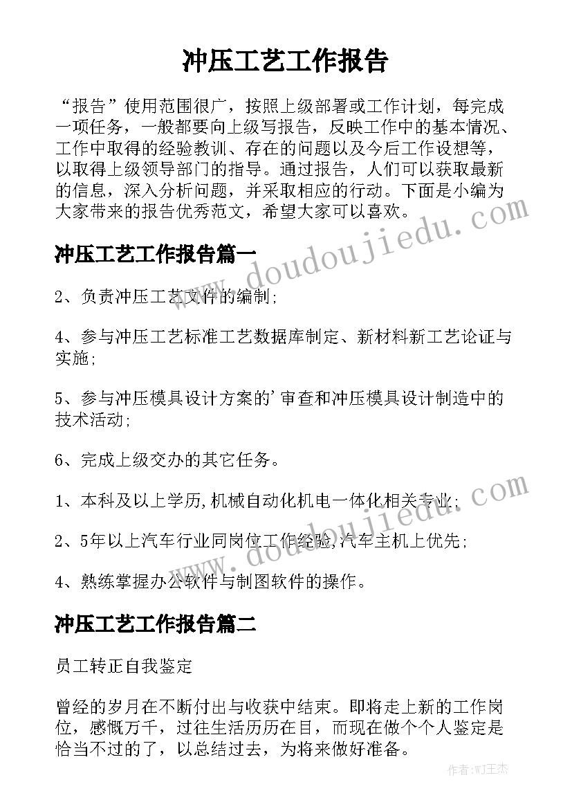 冲压工艺工作报告