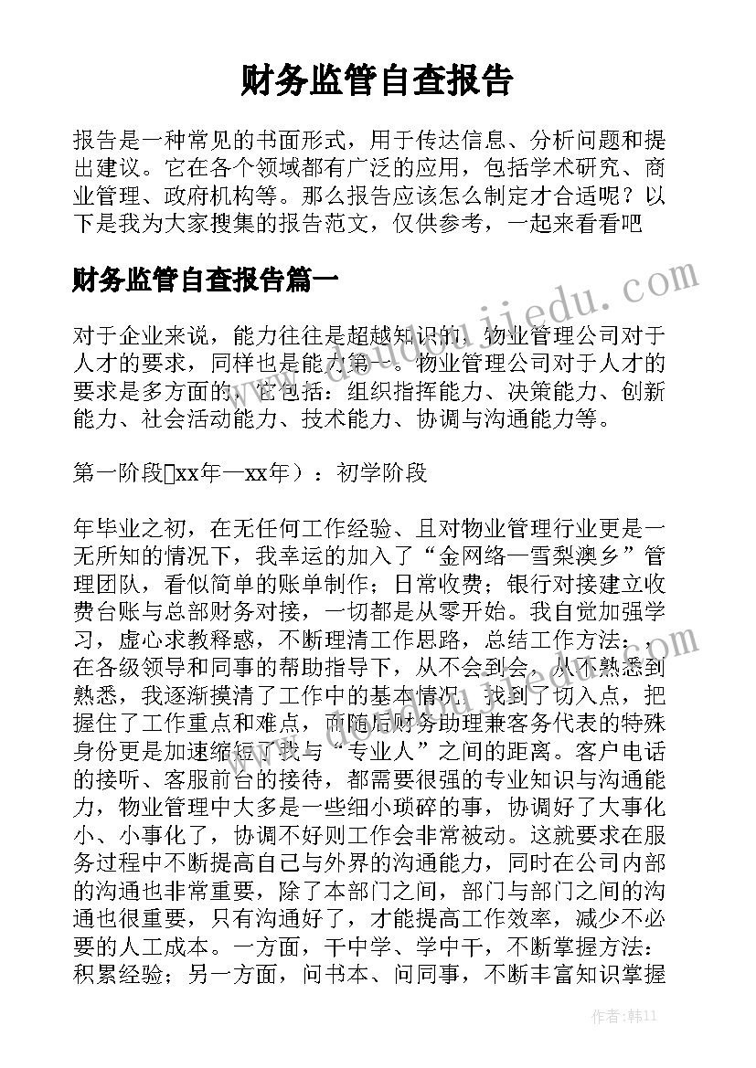 财务监管自查报告