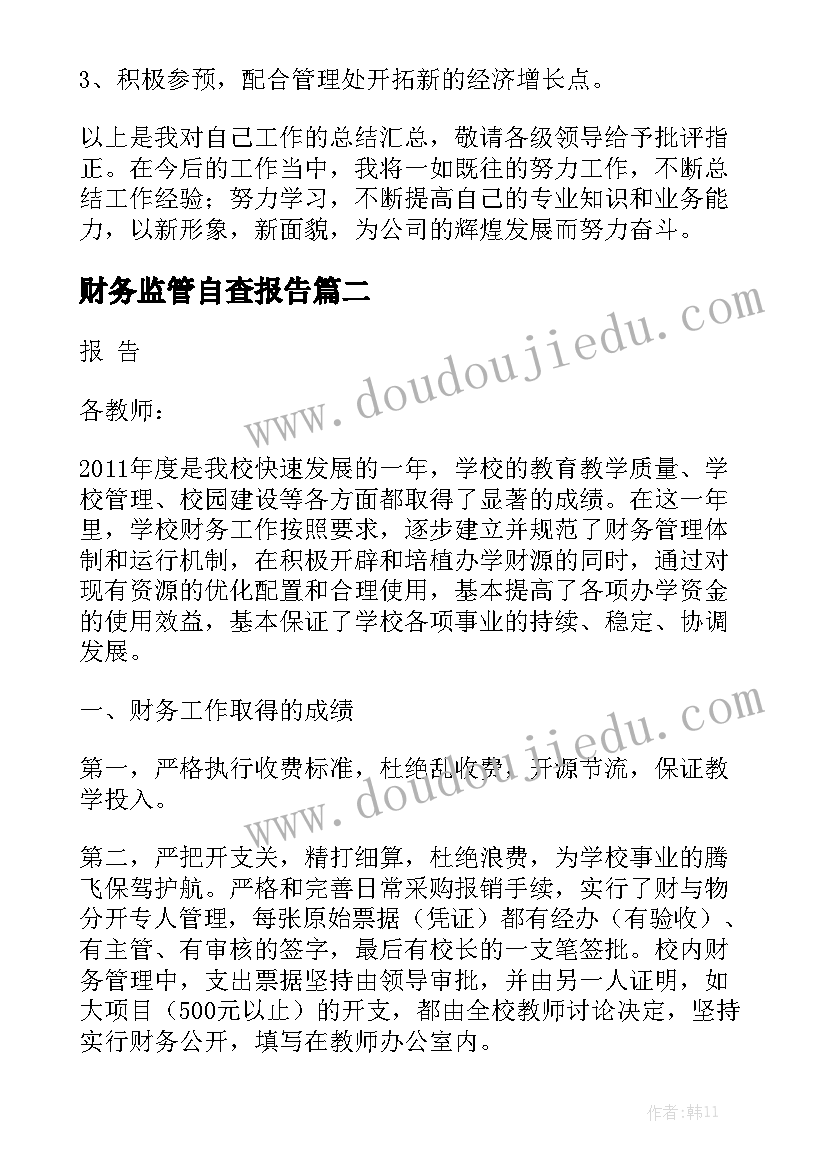 财务监管自查报告