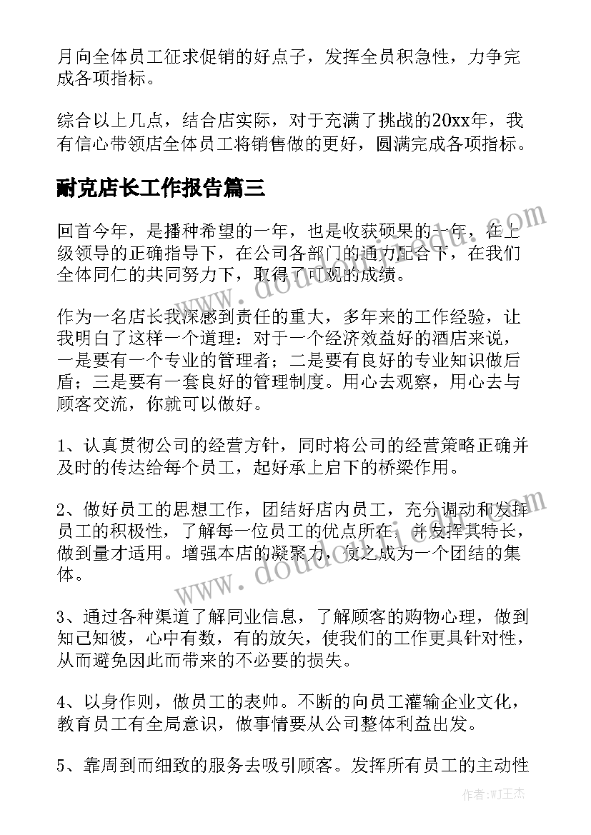 耐克店长工作报告